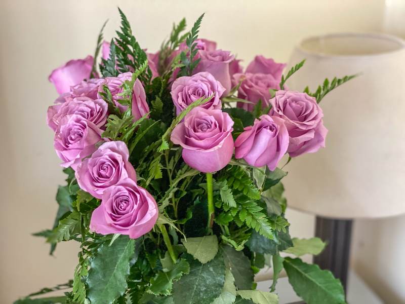 Tradewinds - Gallery 35